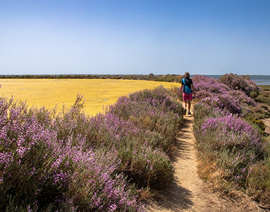 Guided Nature Walks